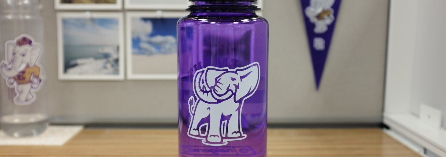 E3 branded water bottle